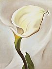 Georgia O'Keeffe Calla Lily Turned Away 1923 painting